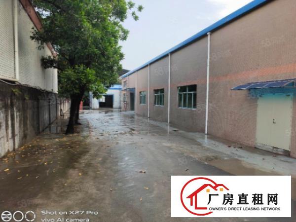  塘厦沙湖新出1600平钢构厂房，配置齐全，仅租16全包