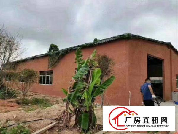  林村房东自建小独院钢构厂房500平方。整租送大空地