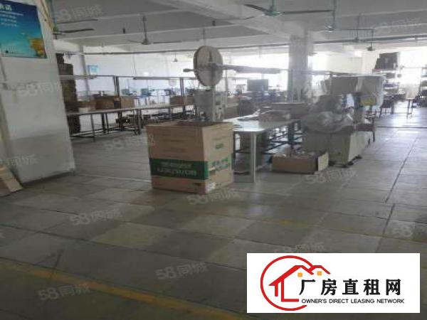  塘厦新出标准厂房一楼1000平方出租，可办环评