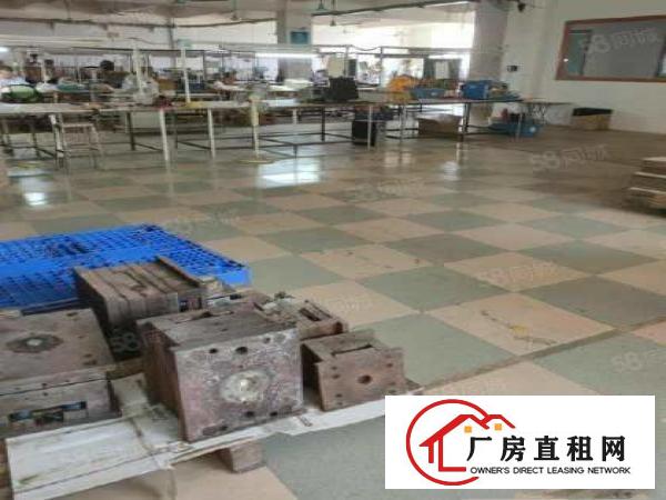  塘厦新出标准厂房一楼1000平方出租，可办环评