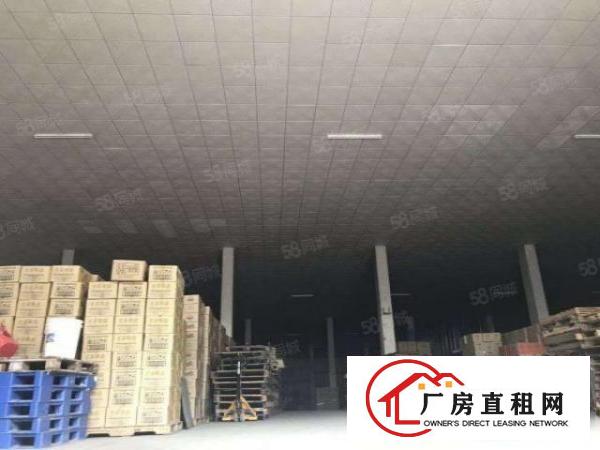  塘厦新空出独院单一楼10米高带平台仓库6150平米
