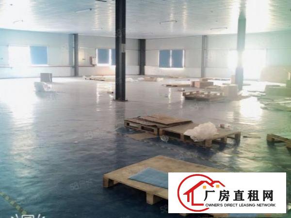 15元租！振兴围工业园新空出豪华装修地坪漆厂房1100平