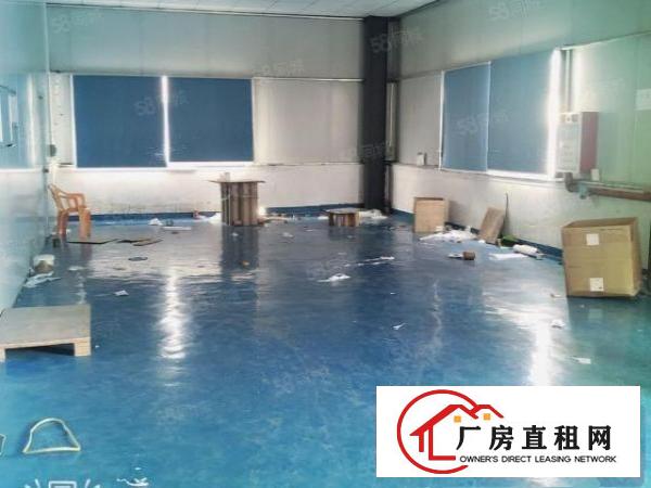  15元租！振兴围工业园新空出豪华装修地坪漆厂房1100平