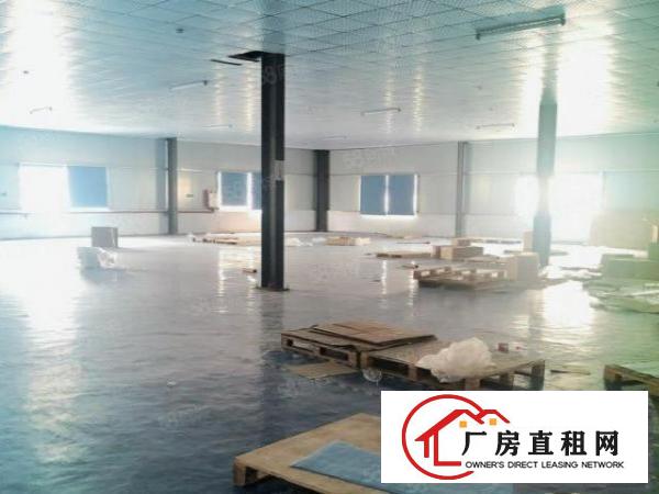  15元租！振兴围工业园新空出豪华装修地坪漆厂房1100平