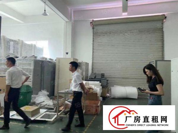  东莞塘厦凤岗交界处独院楼上3层厂房出租每层1000平，可分租
