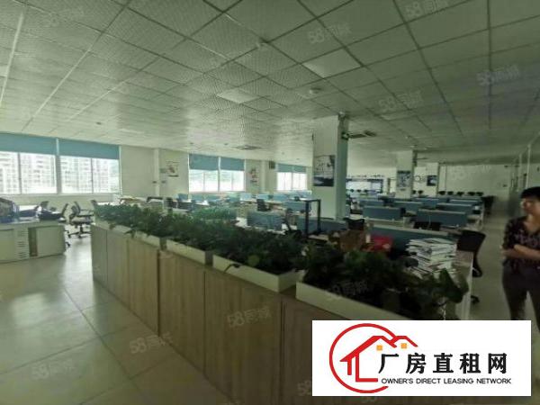  东莞塘厦凤岗交界处独院楼上3层厂房出租每层1000平，可分租