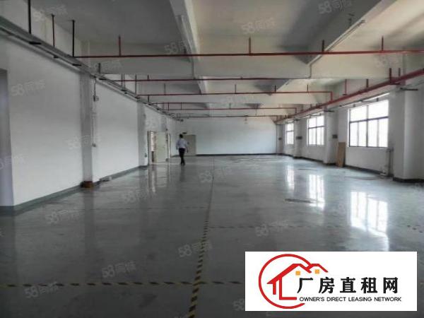  塘厦沙湖原房2000平出租实际面积，带有现成喷油证还可做电池