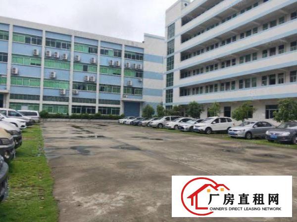  塘厦沙湖原房2000平出租实际面积，带有现成喷油证还可做电池