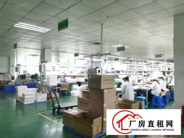  塘厦科苑城新出原房东厂房1500平方可做电池，有现成电池证