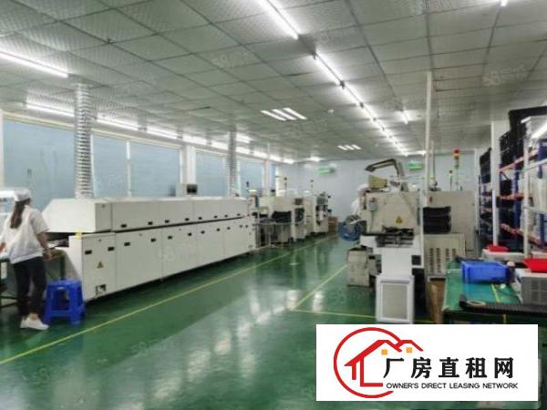  塘厦科苑城新出原房东厂房1500平方可做电池，有现成电池证