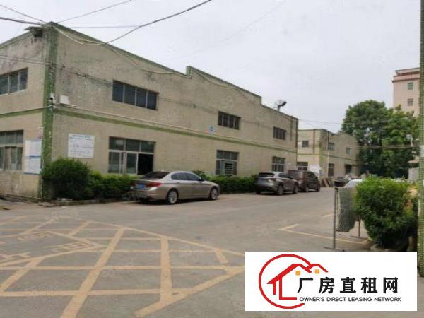 塘厦大坪新出1800平独院厂房，空地大，可做机械设备物流仓储