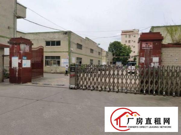  塘厦大坪新出1800平独院厂房，空地大，可做机械设备物流仓储