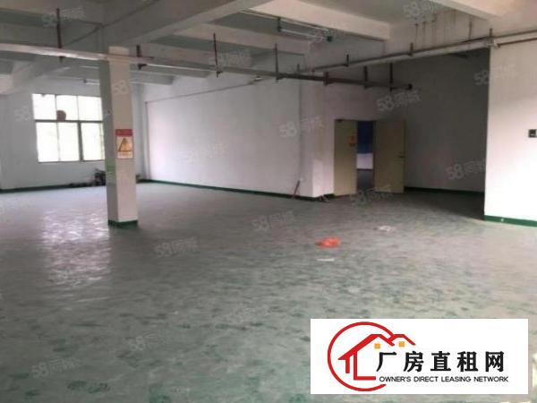  塘厦田心独栋标准两层2300平，精装修，形象好。