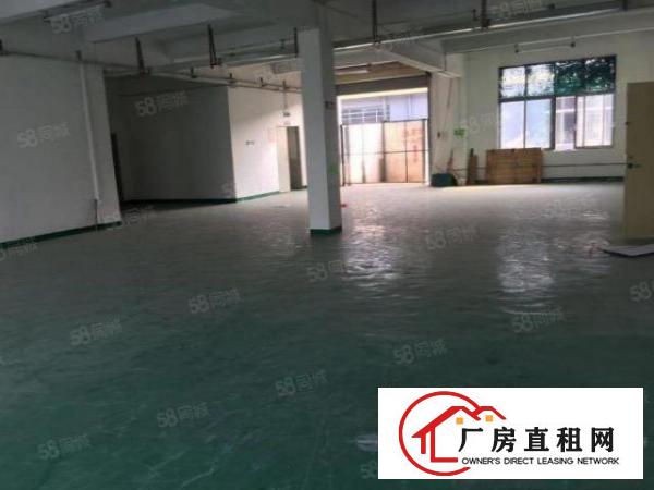  塘厦田心独栋标准两层2300平，精装修，形象好。
