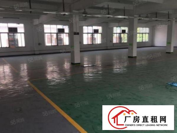  塘厦田心独栋标准两层2300平，精装修，形象好。