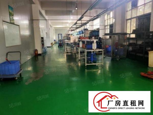  塘厦科苑城出租独门独院7480平方，可分层租，有现成精装修