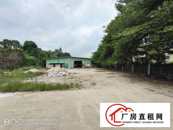  塘厦林村惊现单一层钢构厂房1600滴水7米空地超大可停飞机