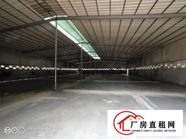  塘厦林村惊现单一层钢构厂房1600滴水7米空地超大可停飞机