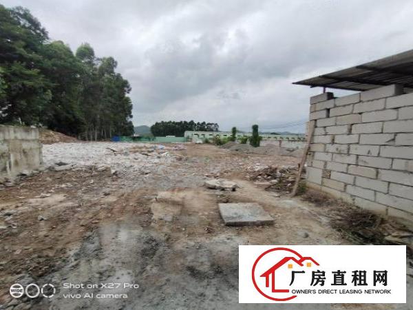  塘厦林村惊现单一层钢构厂房1600滴水7米空地超大可停飞机