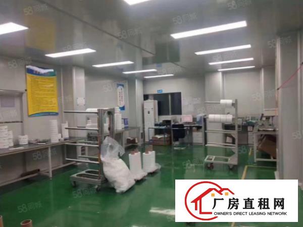  塘厦沙湖独门独院厂房原房东，带精装修无层车间，适合口罩行业。