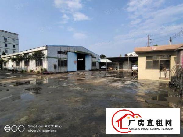 独院厂房出租！塘厦沙湖新出1200平方钢构滴水8米空地超大