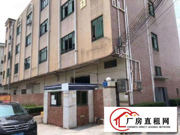  有坪漆漆，办公室，仓库塘厦清湖头楼上厂房出租750平
