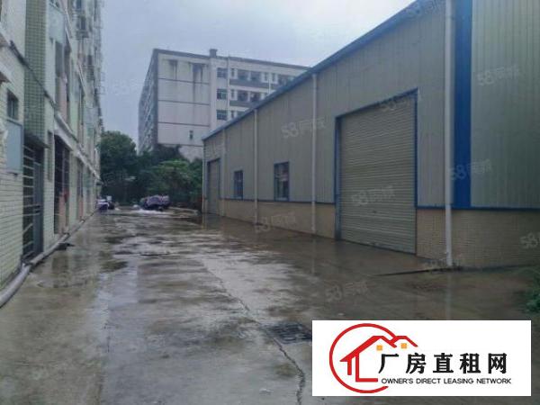  清湖头工业园一楼独栋钢构720平方出租，滴水7米，空地大