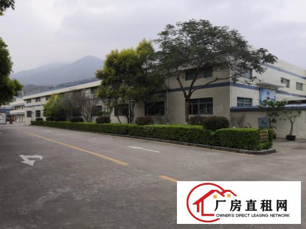  塘厦大坪新出5000钢构独院厂房出租，香港原房东，谢绝包租