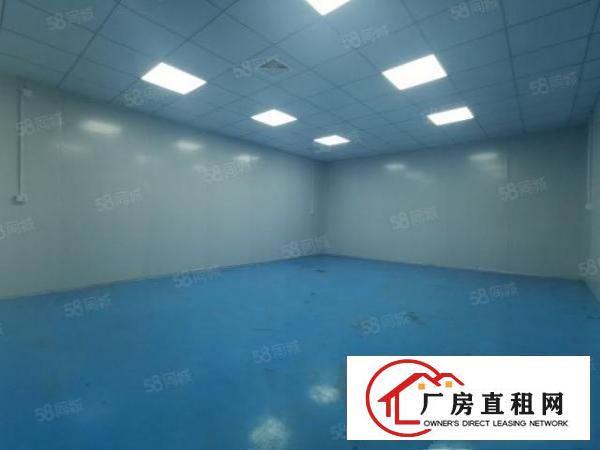  （实拍，带精装修，可分租）林村3780平米钢构独院厂房出租