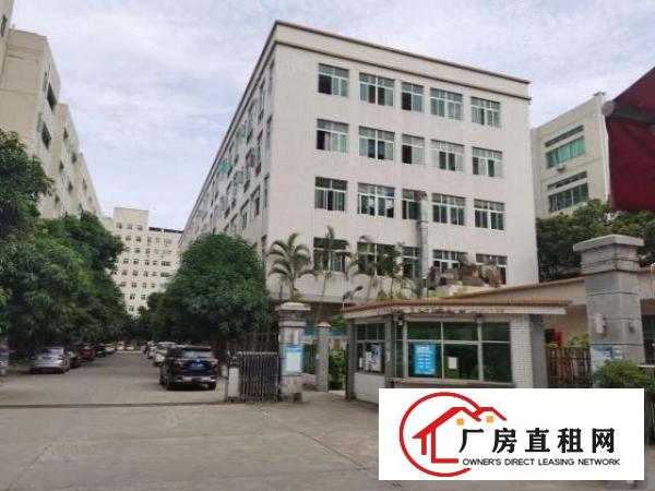  塘厦新出原房东5000平超大空地花园式厂房出租合同期长可分租