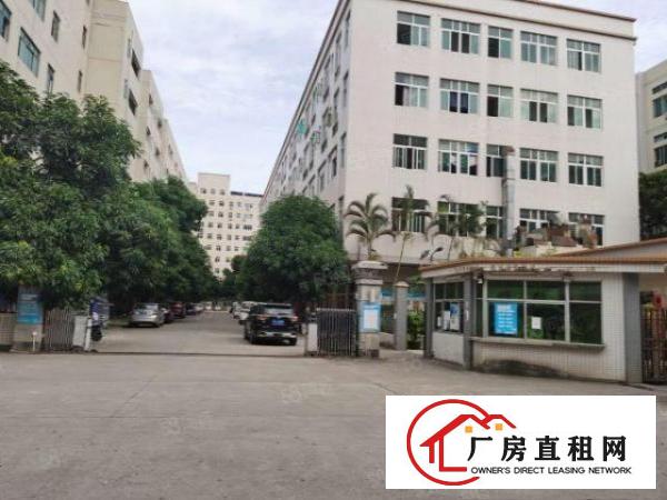 塘厦新出原房东5000平超大空地花园式厂房出租合同期长可分租