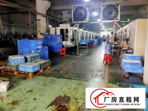  塘厦石鼓标准厂房一楼2800平方出租，高度7米带牛角有装修