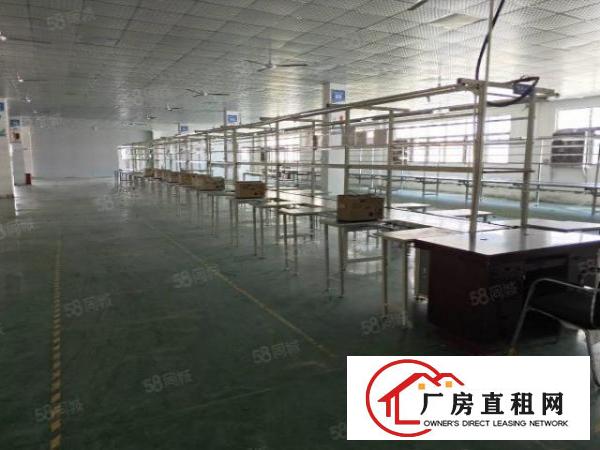  石鼓原房东楼上实际面积3600平出租，现成办公室装修，地坪漆
