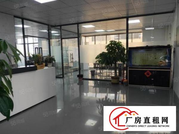  石鼓原房东楼上实际面积3600平出租，现成办公室装修，地坪漆