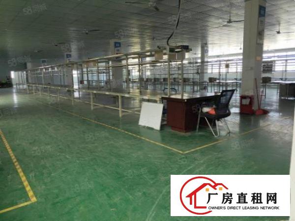  石鼓原房东楼上实际面积3600平出租，现成办公室装修，地坪漆