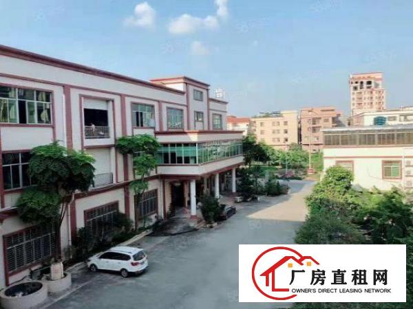  塘厦大坪独院标准1楼700平方！高6米！可装峰谷表，可办环评
