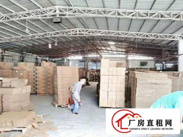  纸箱厂的福音来了！塘厦镇石鼓独门独院3000平方打包价出租
