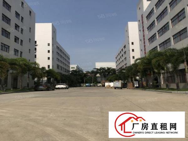  临深高速口原房东出租楼上1450平全新装修形象好无公摊