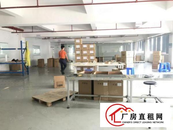  临深高速口原房东出租楼上1450平全新装修形象好无公摊