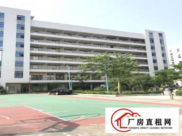  临深高速口原房东出租楼上1450平全新装修形象好无公摊