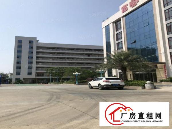  临深高速口原房东出租楼上1450平全新装修形象好无公摊