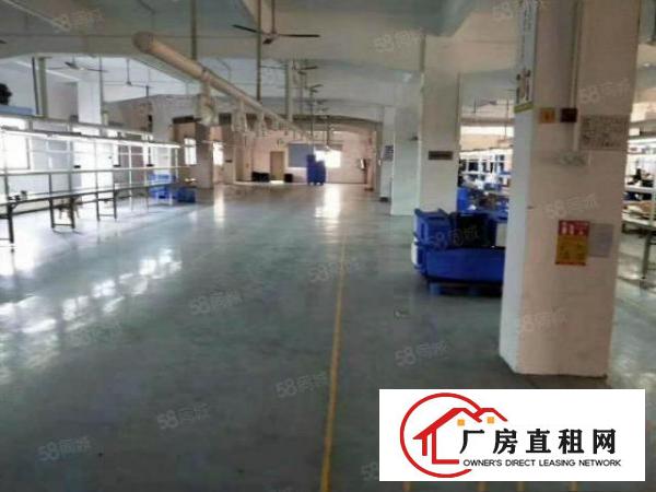  理想任意分租！塘厦镇东深二路旁装修漂亮独门独院厂房5700平