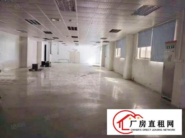  理想任意分租！塘厦镇东深二路旁装修漂亮独门独院厂房5700平