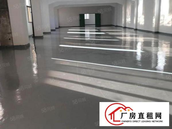  独院！园区塘厦莲湖新出330平标准楼上厂房带全新锃亮地坪漆
