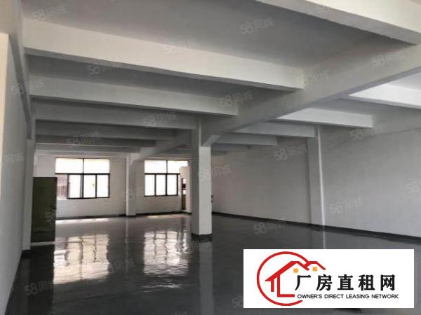  独院！园区塘厦莲湖新出330平标准楼上厂房带全新锃亮地坪漆