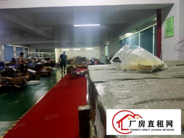  塘厦石鼓新出精装修标准厂房楼上480平方，水电齐全价钱便宜