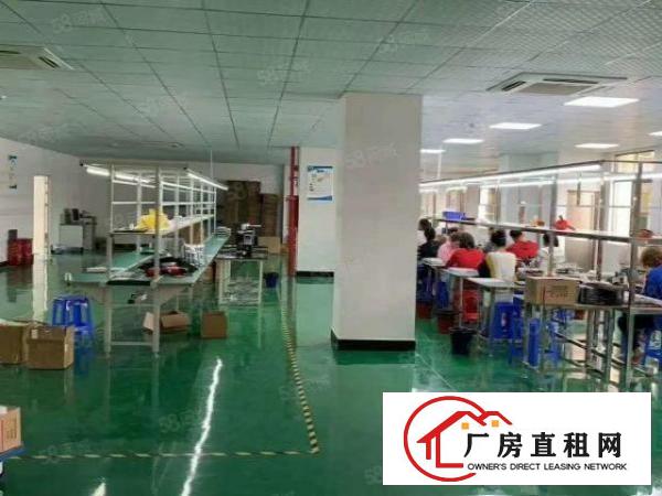  塘厦振兴围楼上现成精装修厂房出租890平适合电子电商仓库等