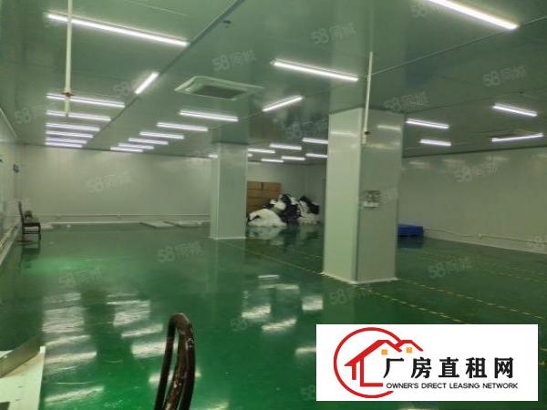  塘厦科苑城信息产业园三楼260平厂房出租，周边人流量大易招工