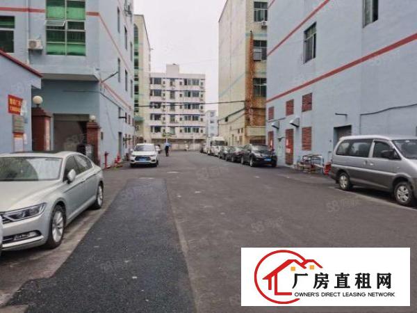  凤岗前卫工业园新出一楼900平原房东带装修厂房出租200起租