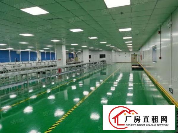  凤岗前卫工业园新出一楼900平原房东带装修厂房出租200起租